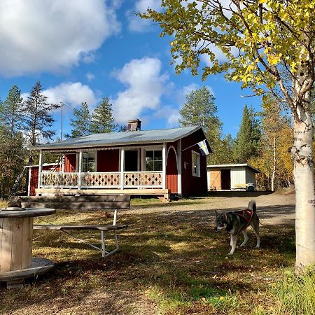Off-Grid Cabin In Nattavaara Lapland Bagian luar foto