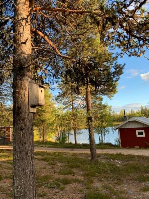 Off-Grid Cabin In Nattavaara Lapland Bagian luar foto