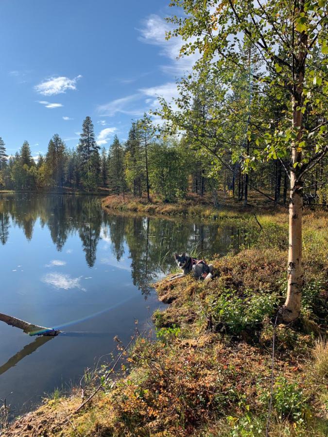 Off-Grid Cabin In Nattavaara Lapland Bagian luar foto