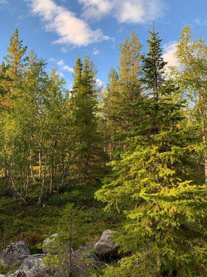 Off-Grid Cabin In Nattavaara Lapland Bagian luar foto