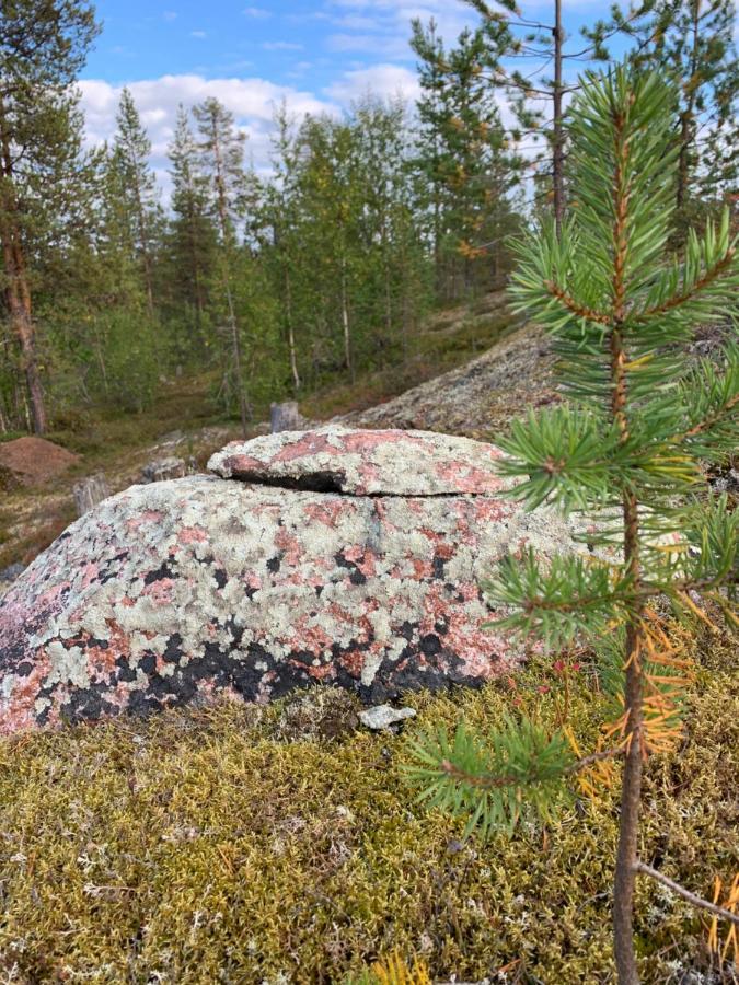 Off-Grid Cabin In Nattavaara Lapland Bagian luar foto