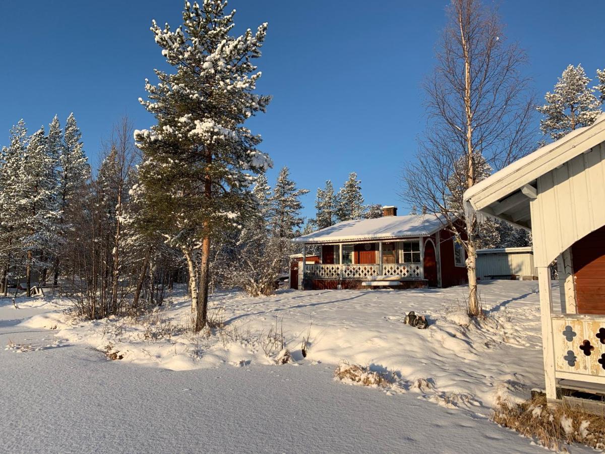 Off-Grid Cabin In Nattavaara Lapland Bagian luar foto