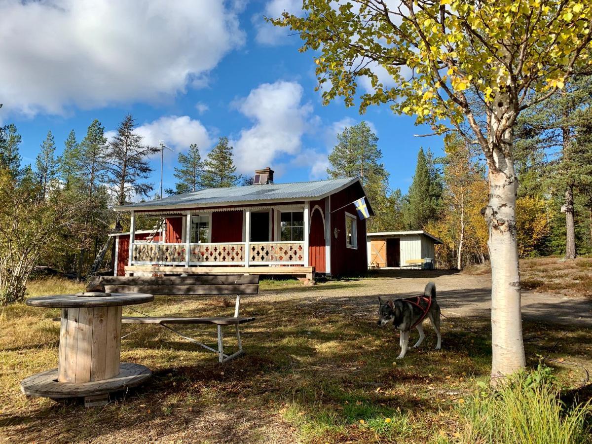 Off-Grid Cabin In Nattavaara Lapland Bagian luar foto