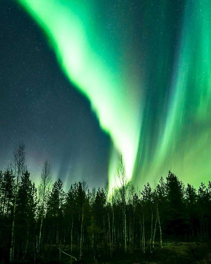 Off-Grid Cabin In Nattavaara Lapland Bagian luar foto