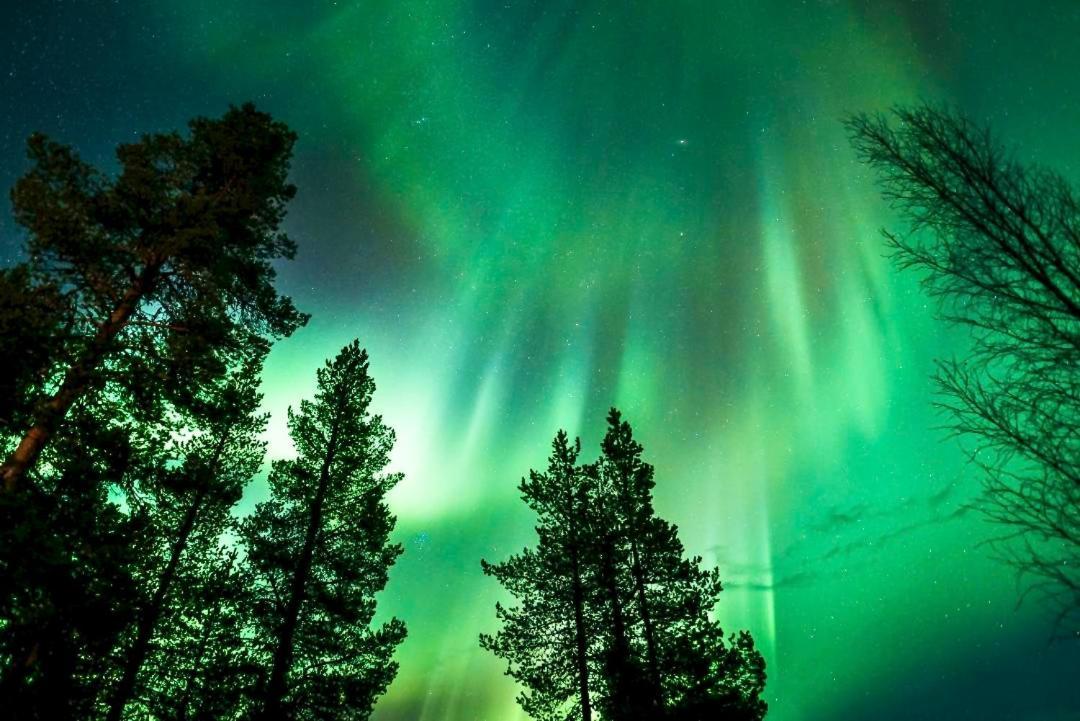 Off-Grid Cabin In Nattavaara Lapland Bagian luar foto